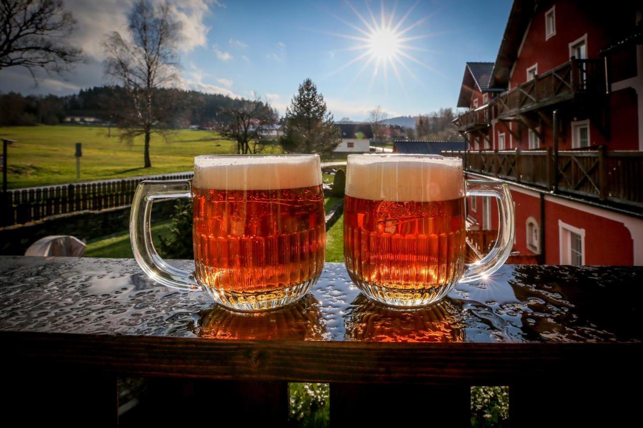 Penzion Vyton Hotel Přední Výtoň Екстериор снимка